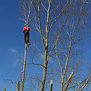 rangers working in the cotswold water park