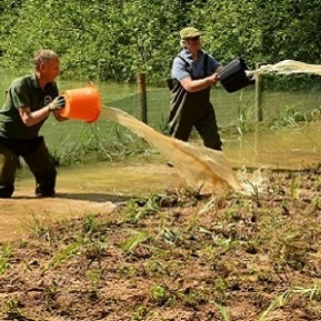 volunteers working in the cotswold water park